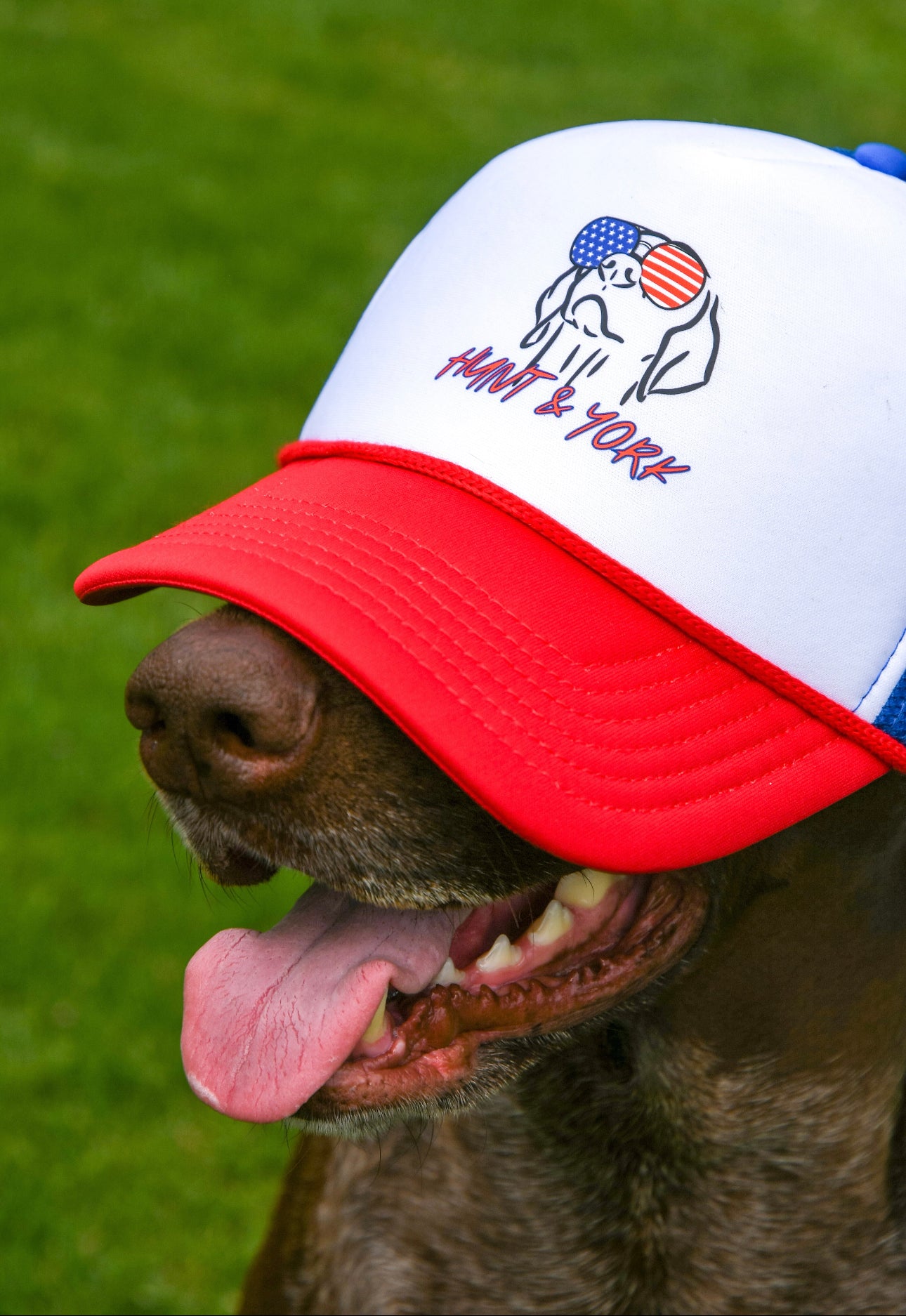 Scout’s Honor Trucker Hat