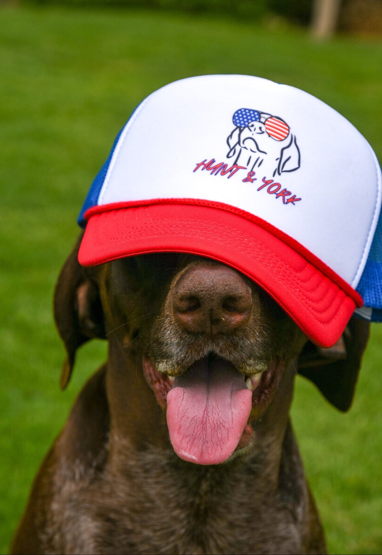 Scout’s Honor Trucker Hat